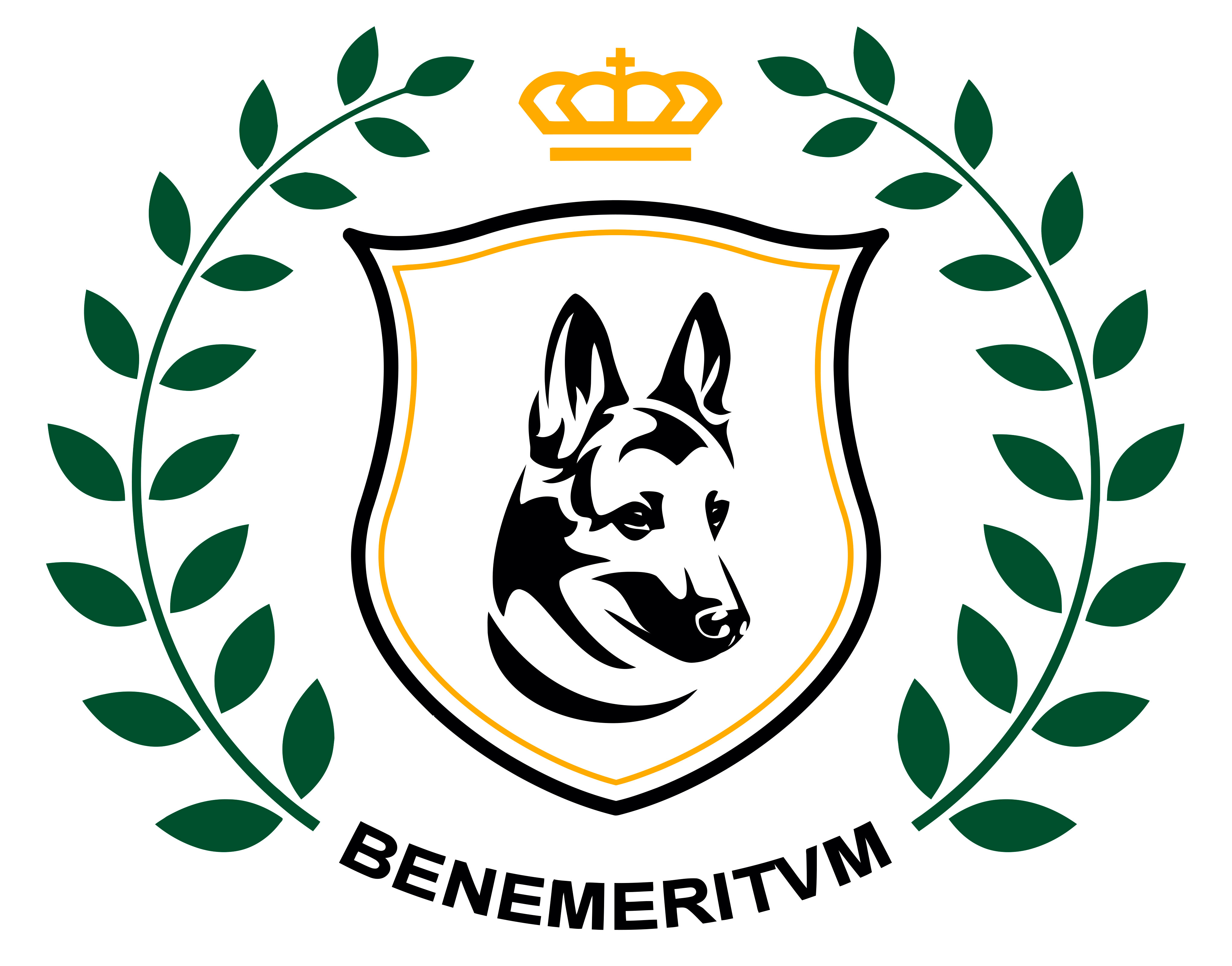 1046746860-LOGO BENEMERITVM 2.png.jpg
